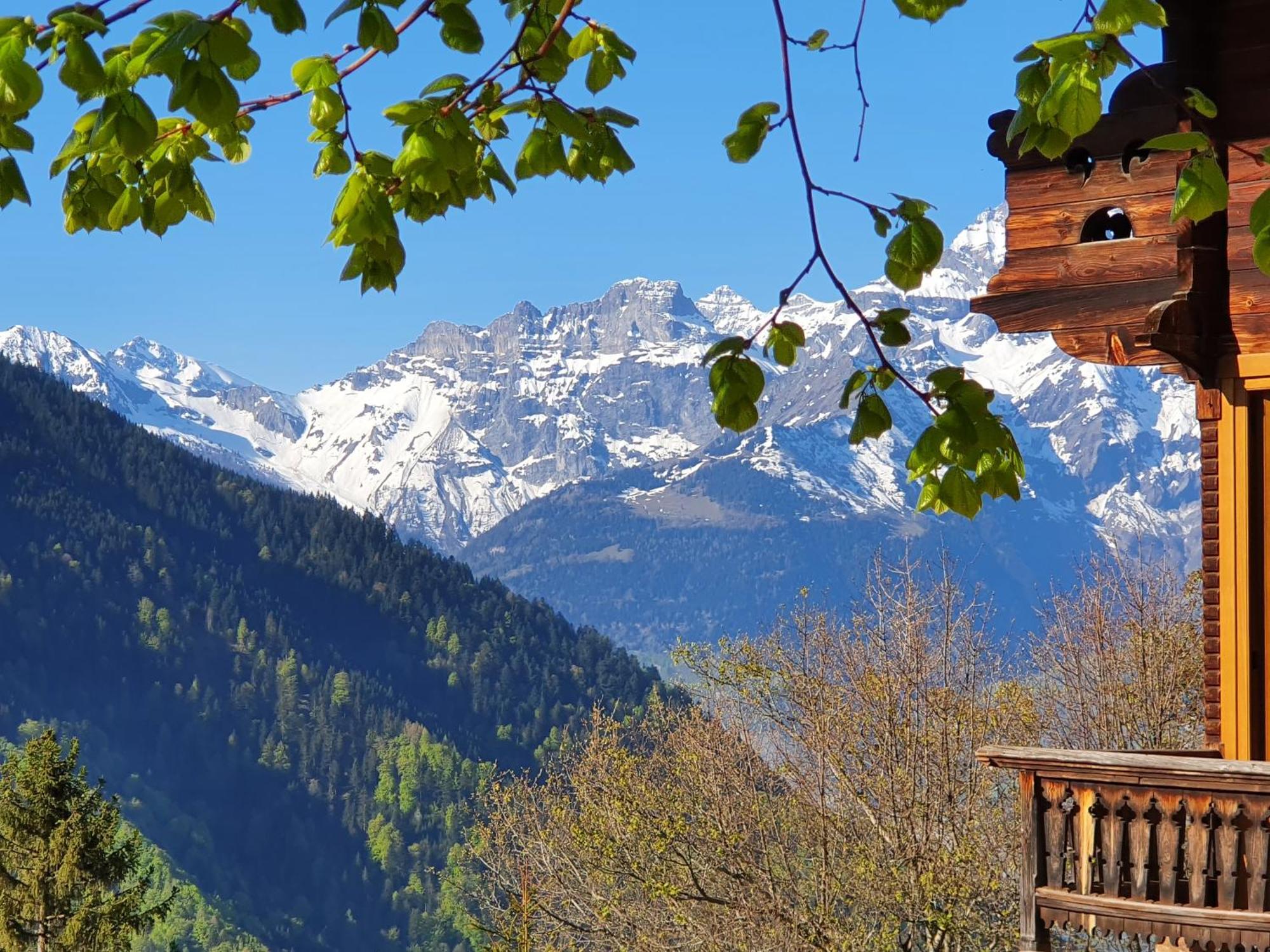 Magnifique Chalet Valerie 5 Chambres A Coucher & Vue Unique 그리옹 외부 사진